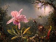 Martin Johnson Heade Cattleya Orchid and Three Brazilian Hummingbirds Germany oil painting artist
